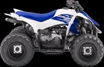 2018 Yamaha Raptor 50