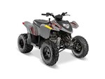 2017 Polaris Phoenix 200