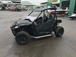 2017 Arctic Cat Wildcat Trail XT 700