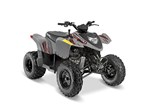 2017 Polaris Phoenix® 200 Avalanche Gray