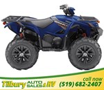 2019 Yamaha GRIZZLY EPS SE
