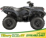 2019 Yamaha GRIZZLY EPS