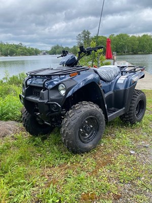 2025 KAWASAKI BRUTE FORCE 300