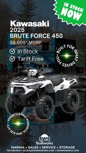 2025 KAWASAKI BRUTE FORCE 450